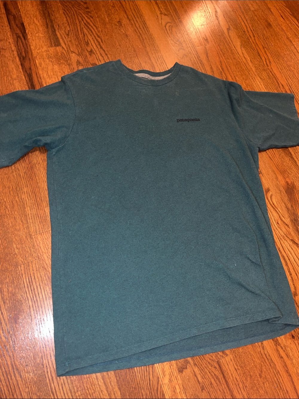Patagonia Short-Sleeve Responsibili-Tee in Teal Green Medium